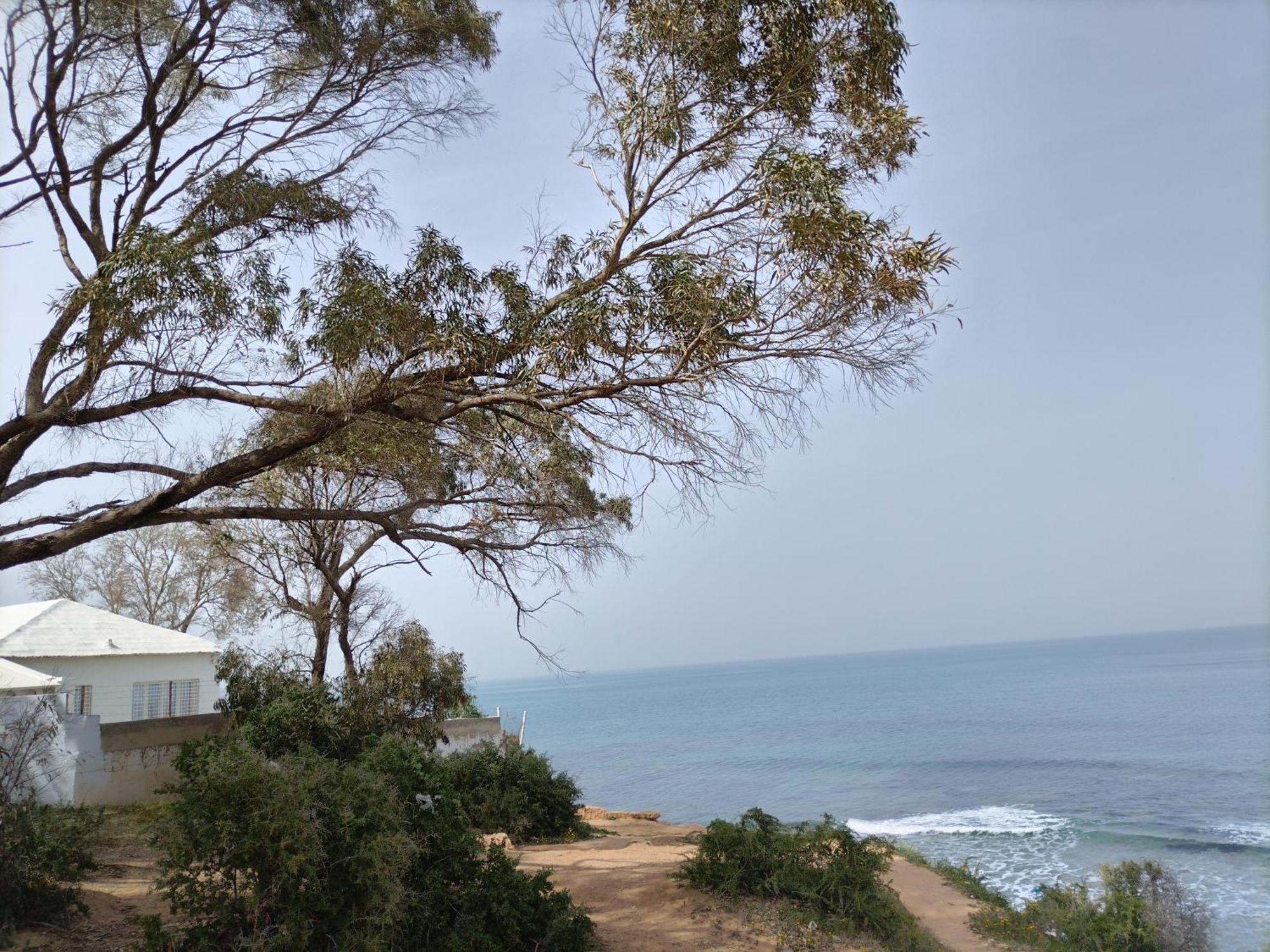 Marsa-Sidi Bousaid Cosy Authentic Apartment La Marsa Exterior photo